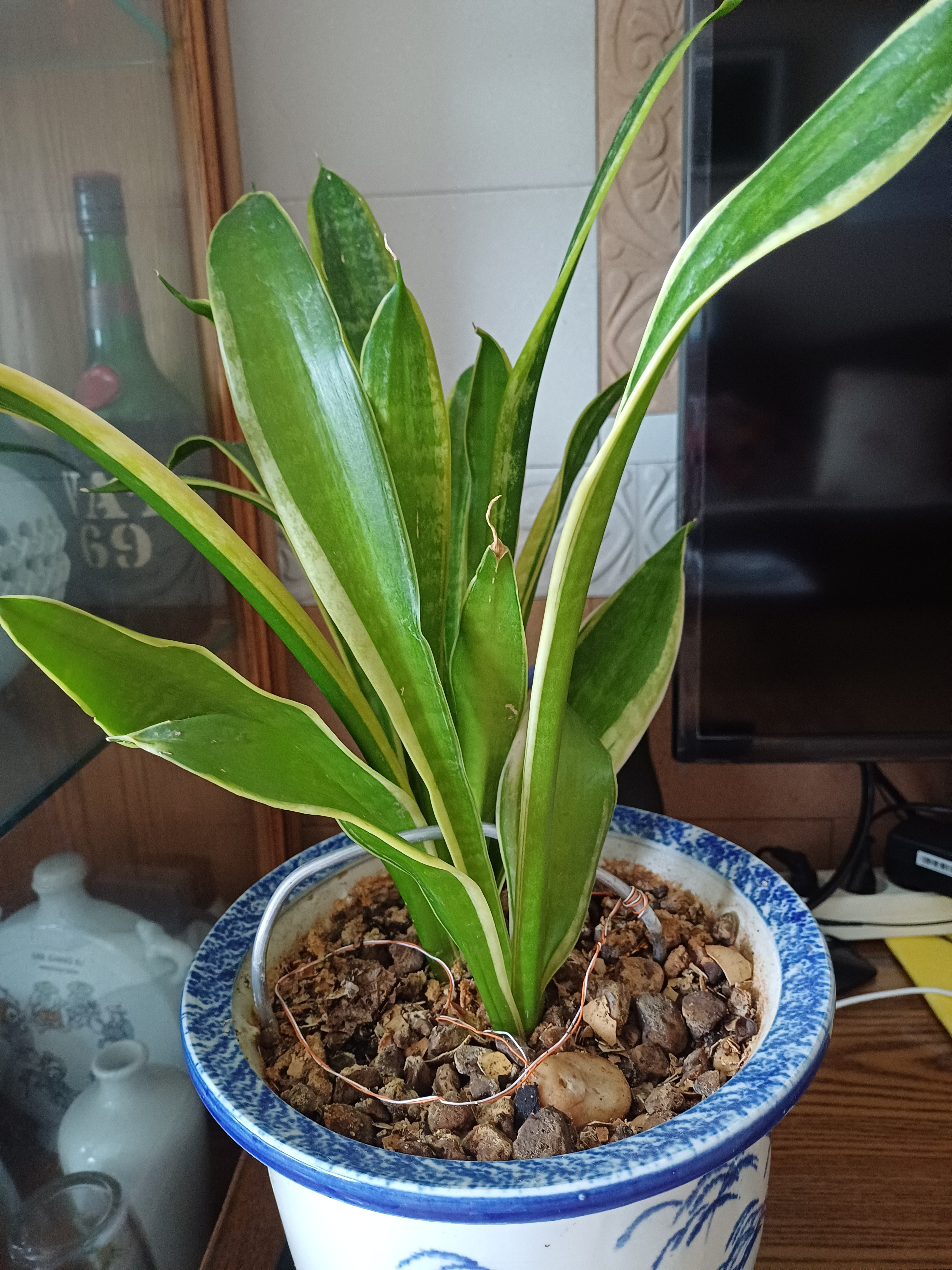 작성자 프로필 이미지