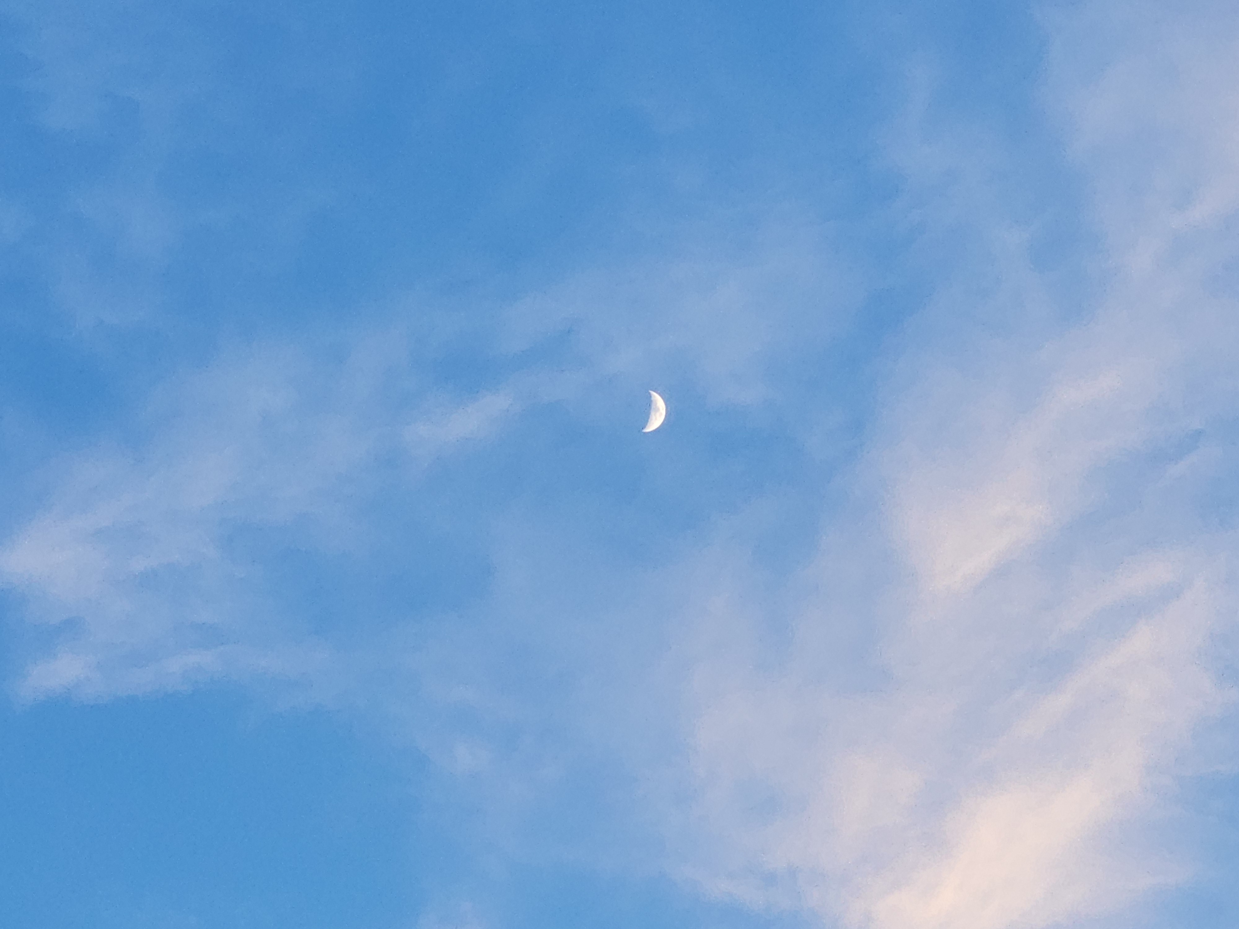 작성자 프로필 이미지