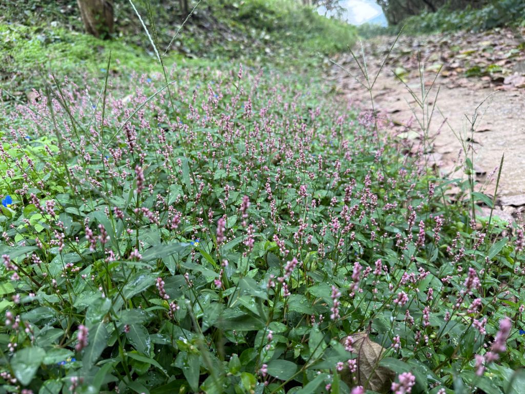 작성자 프로필 이미지