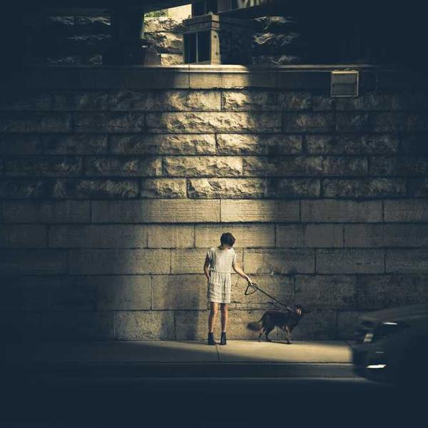 작성자 프로필 이미지