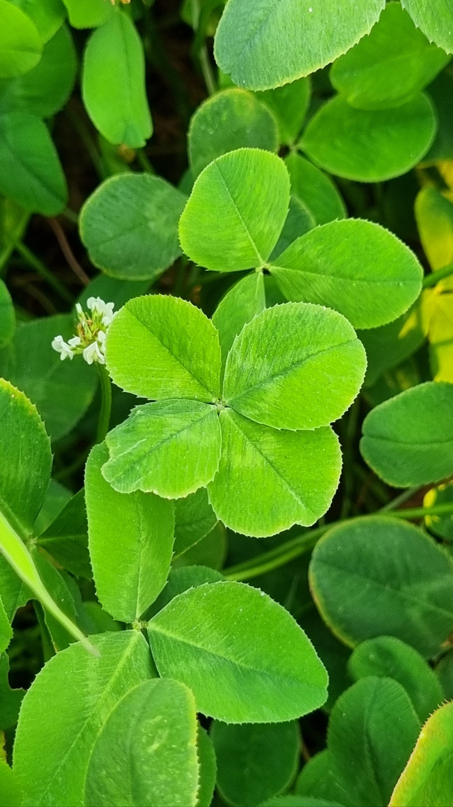 작성자 프로필 이미지