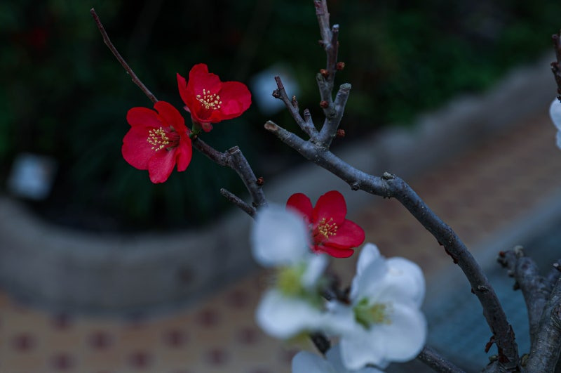 작성자 프로필 이미지