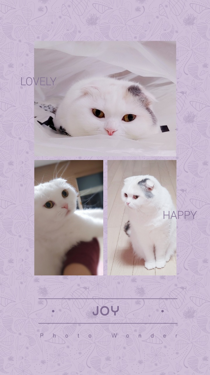 작성자 프로필 이미지