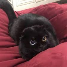 작성자 프로필 이미지