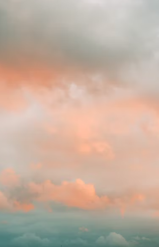 작성자 프로필 이미지