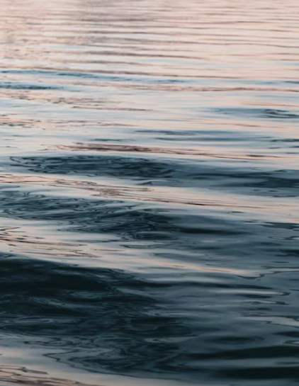 작성자 프로필 이미지