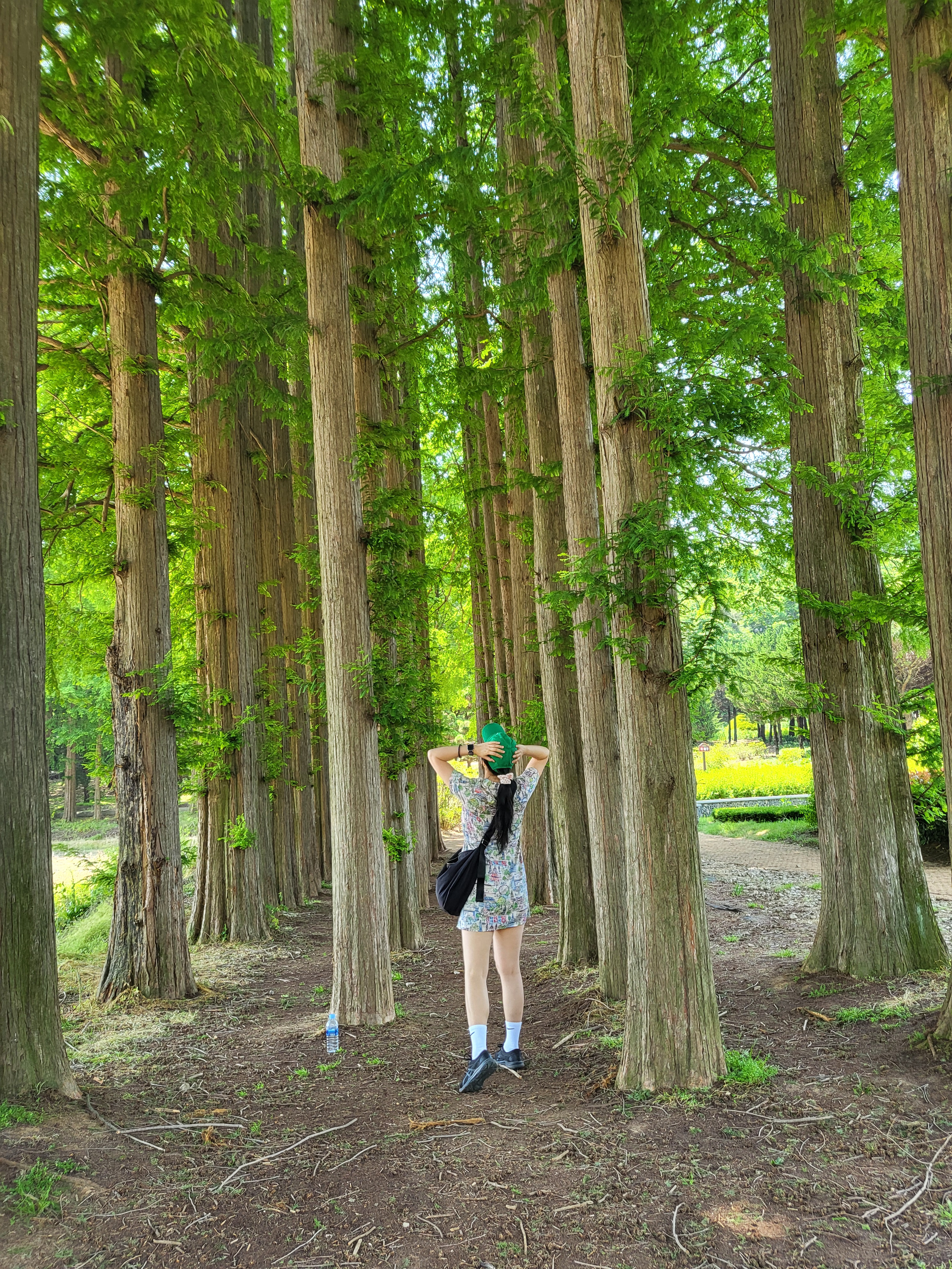 작성자 프로필 이미지