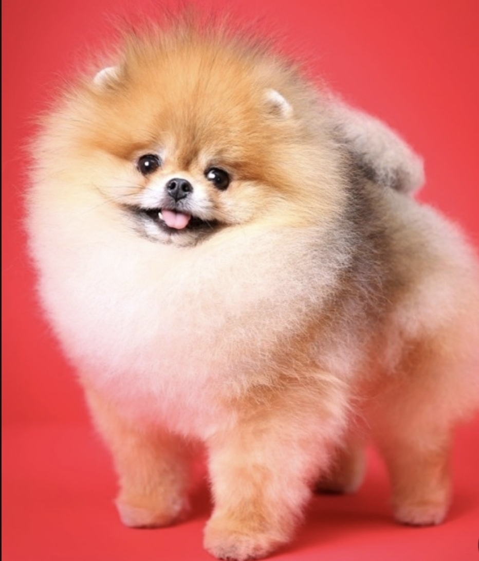 작성자 프로필 이미지