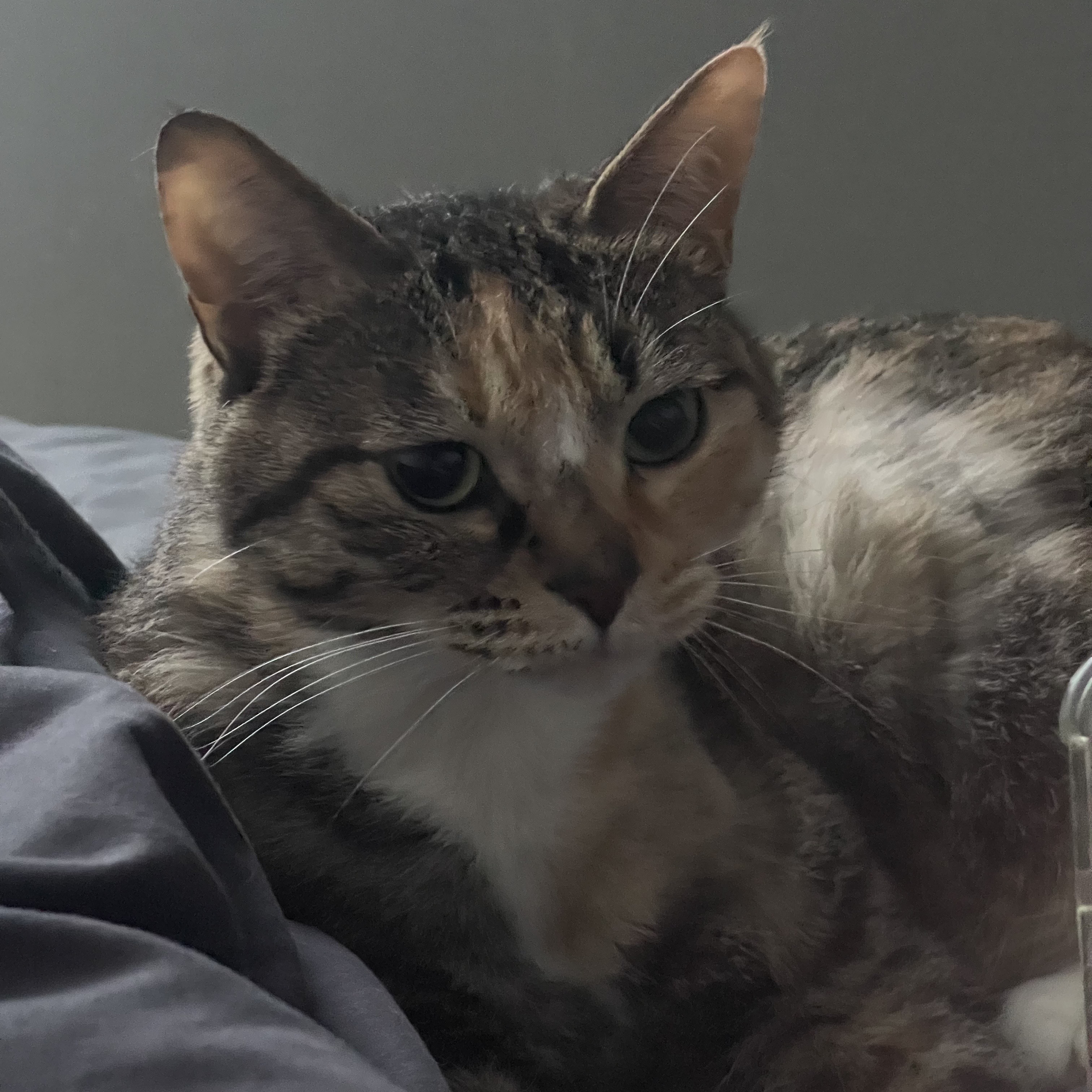 작성자 프로필 이미지