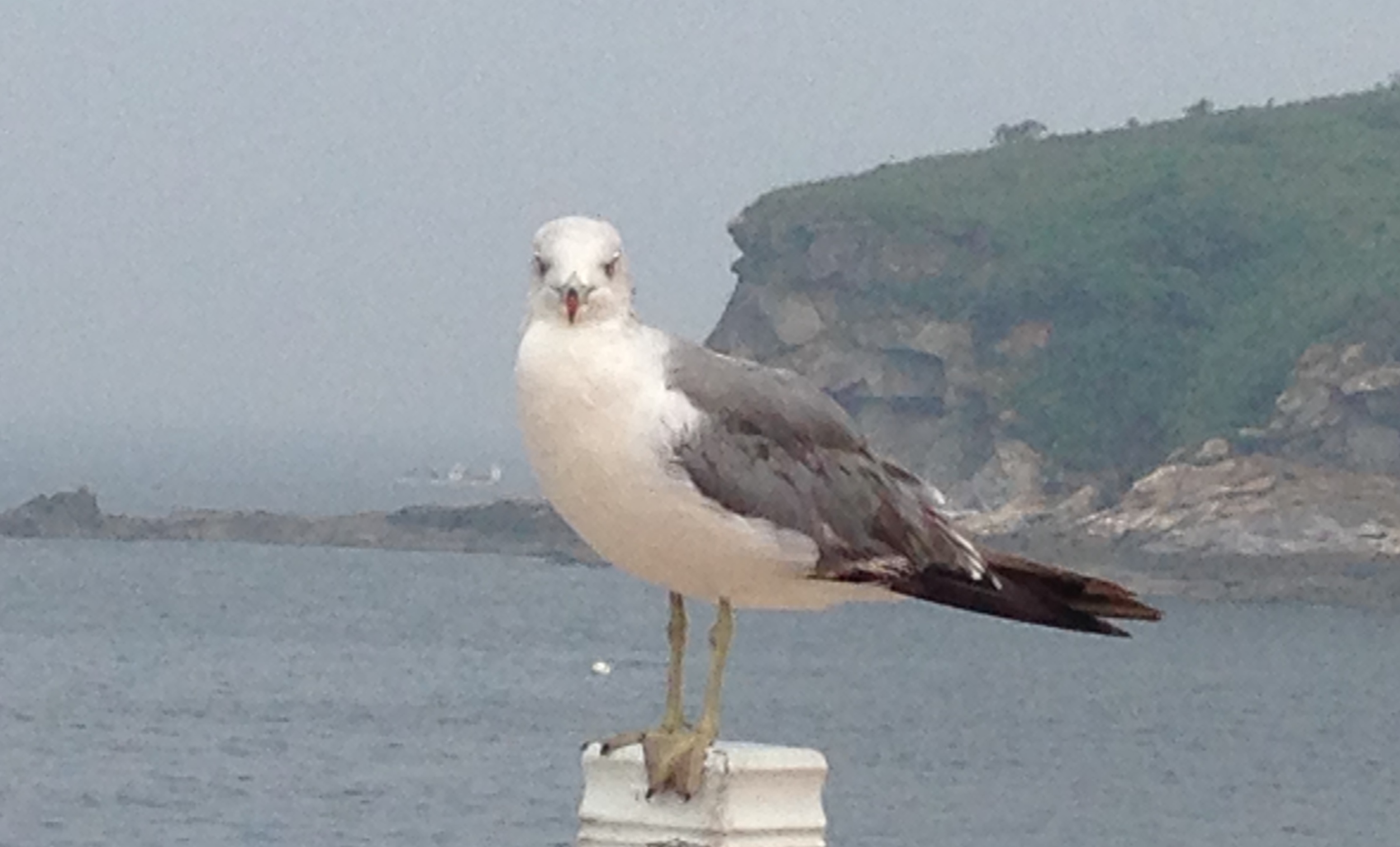 작성자 프로필 이미지