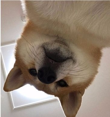 작성자 프로필 이미지