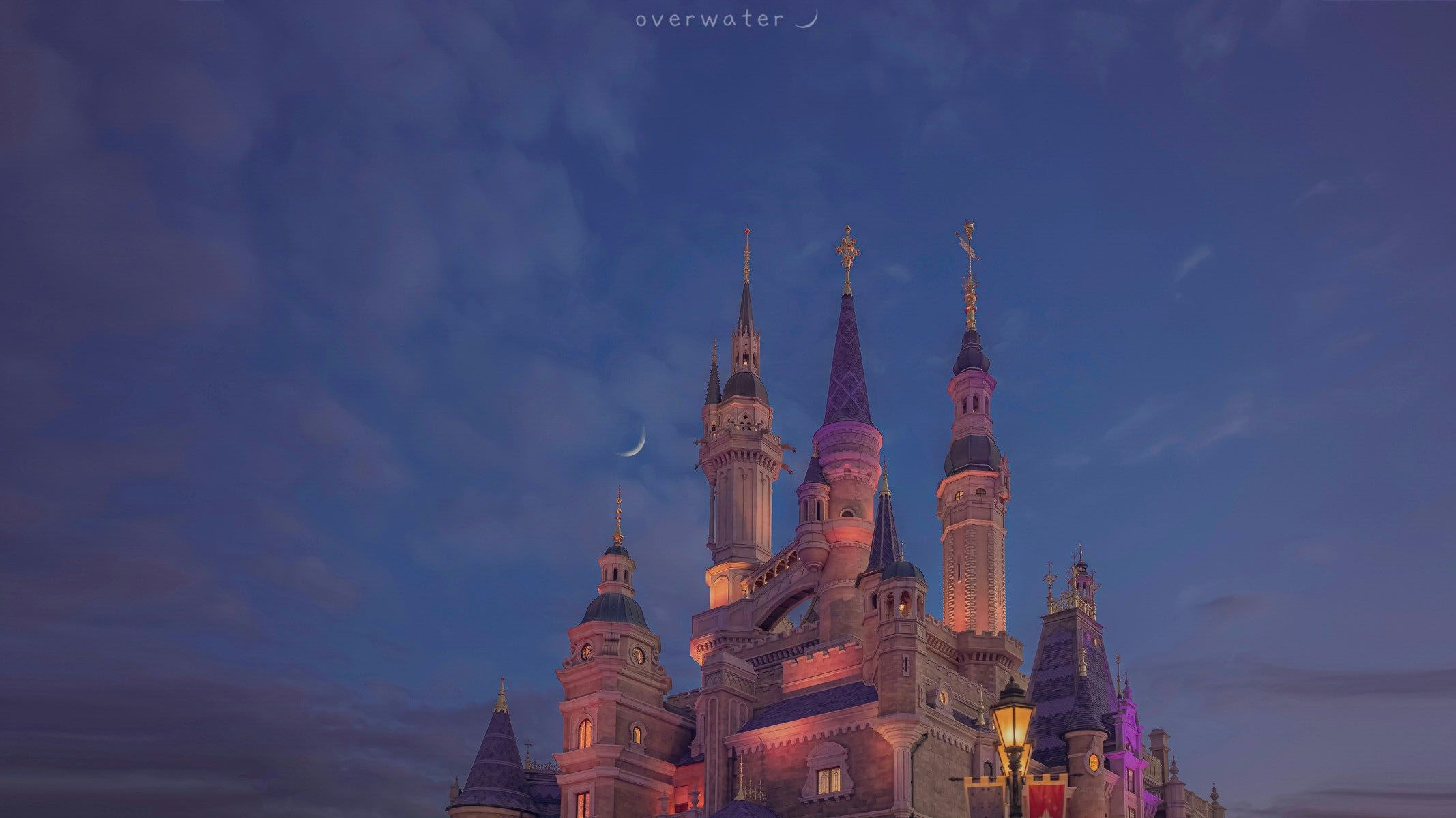 작성자 프로필 이미지