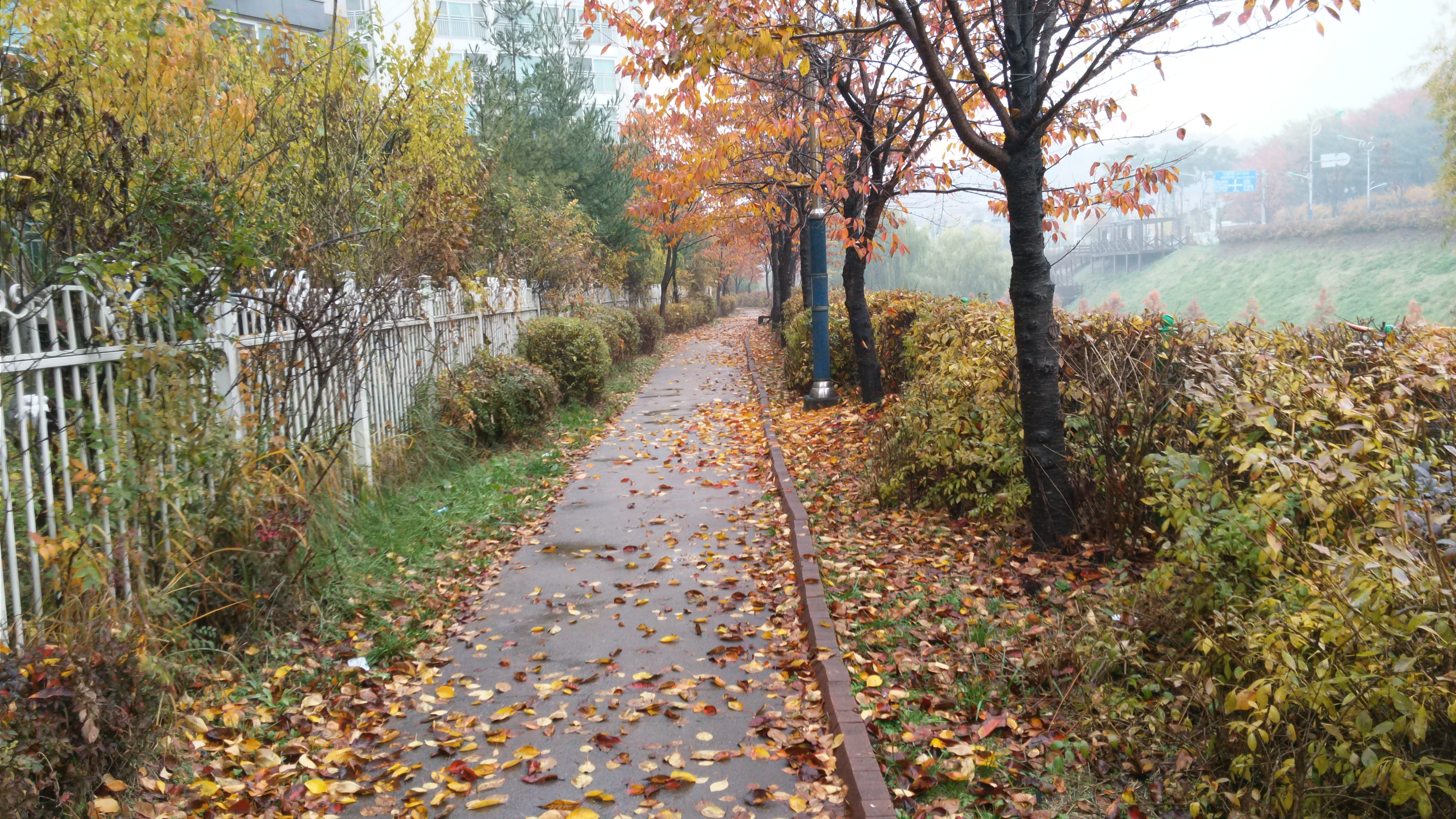 작성자 프로필 이미지