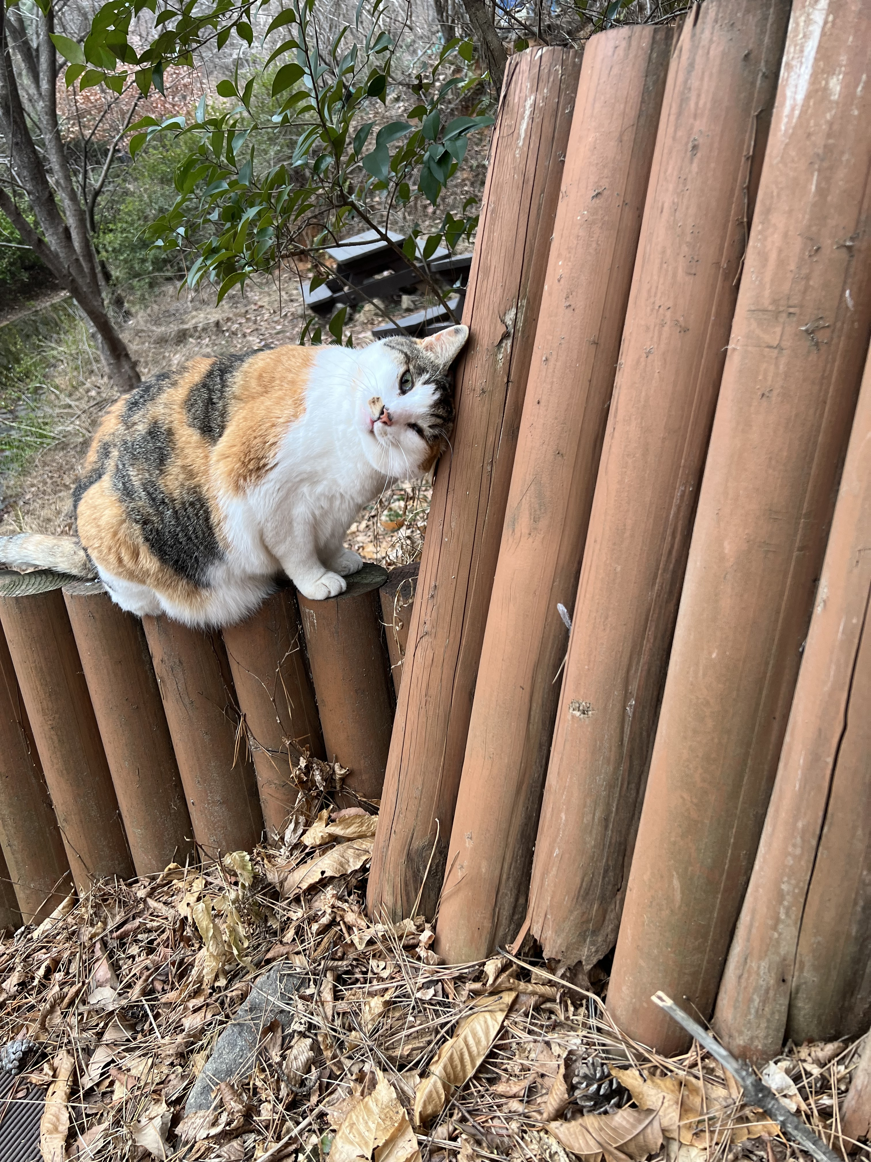 단루호 프로필 이미지