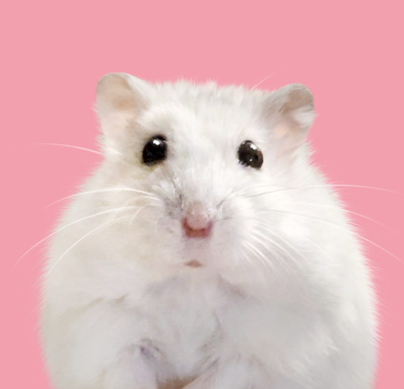 작성자 프로필 이미지