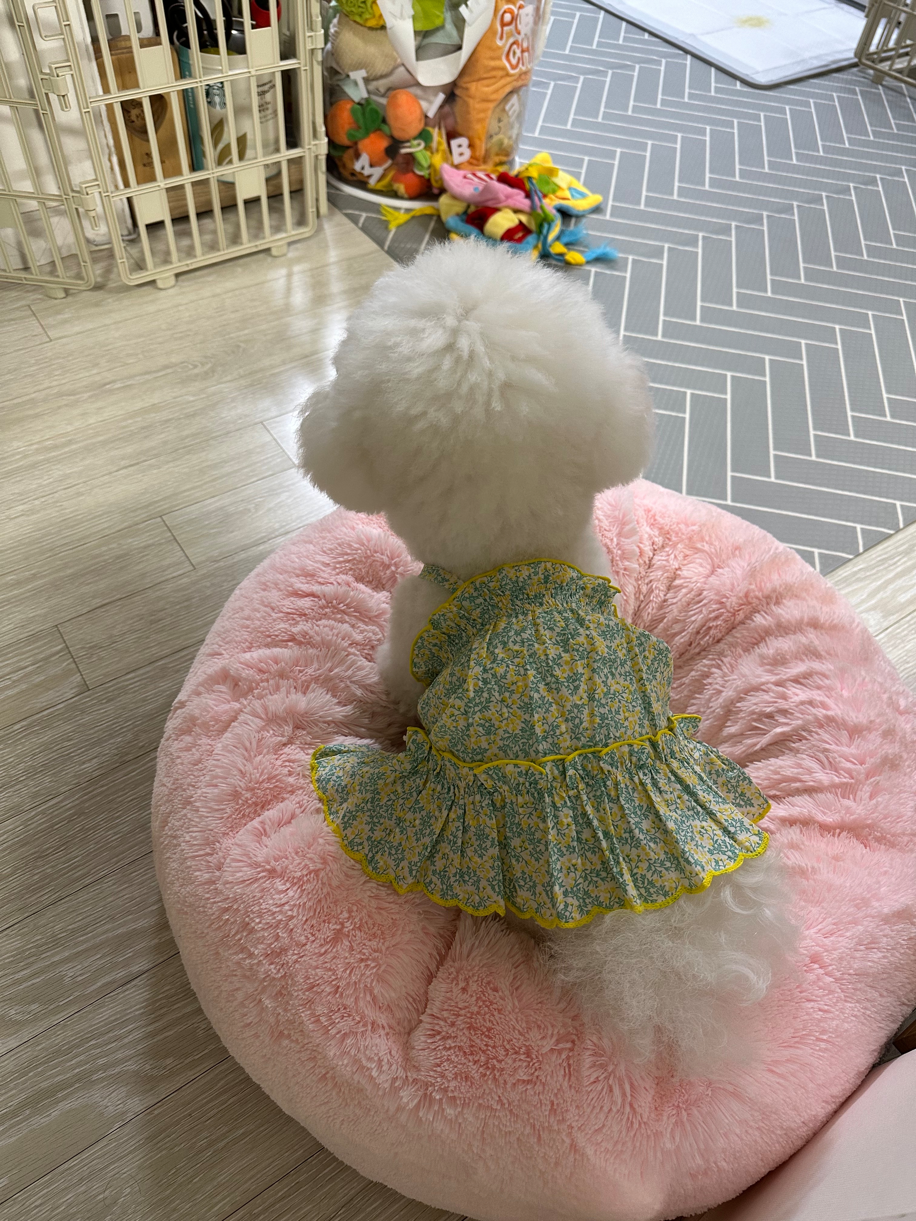 작성자 프로필 이미지