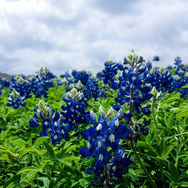 작성자 프로필 이미지