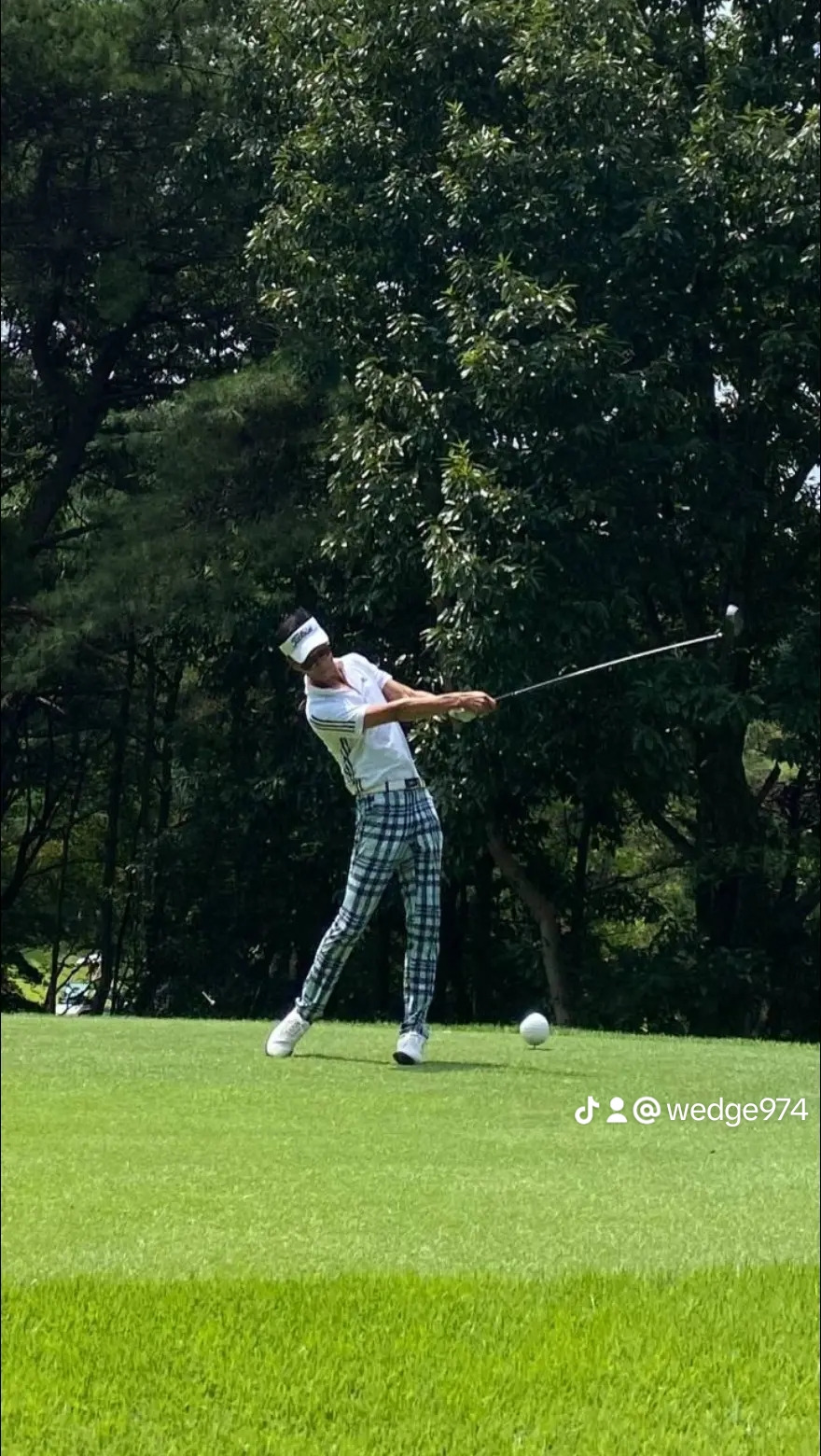 작성자 프로필 이미지