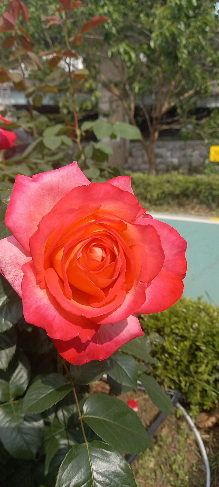 작성자 프로필 이미지