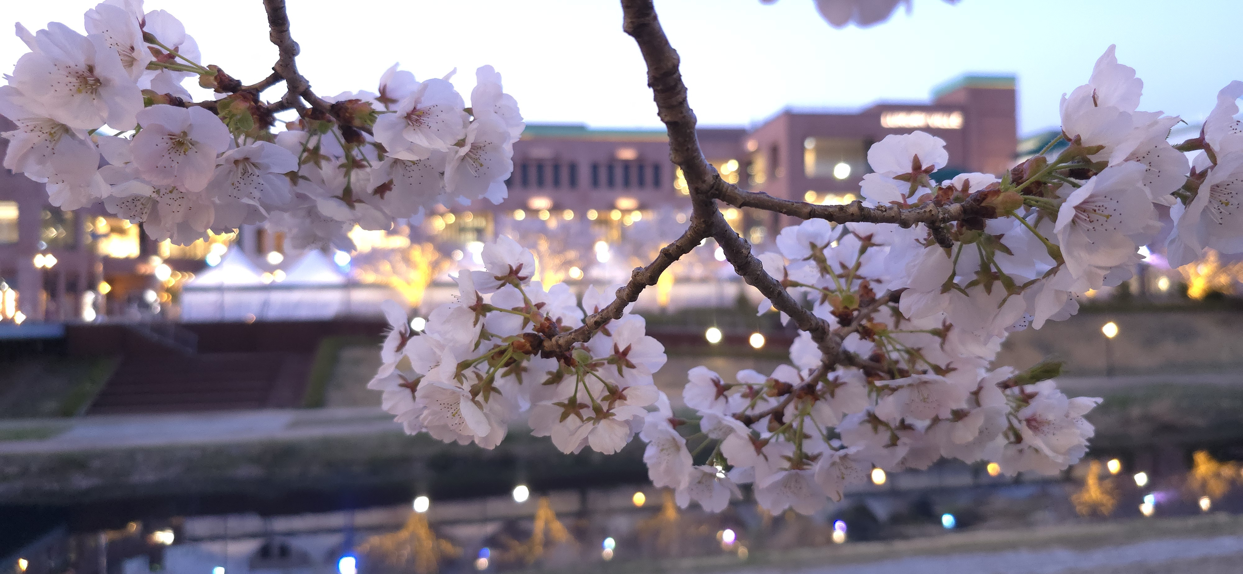 제하니엘 프로필 이미지