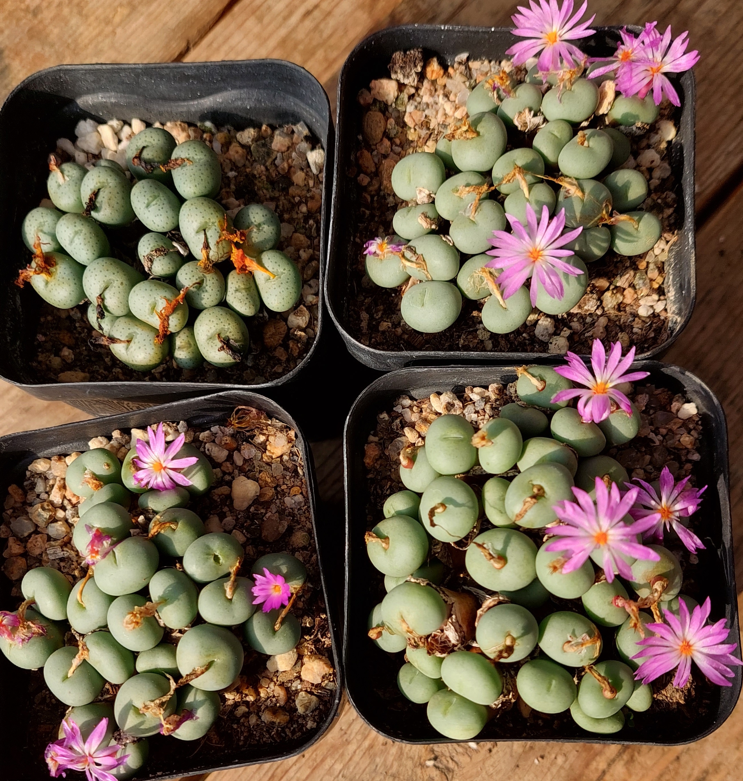 작성자 프로필 이미지