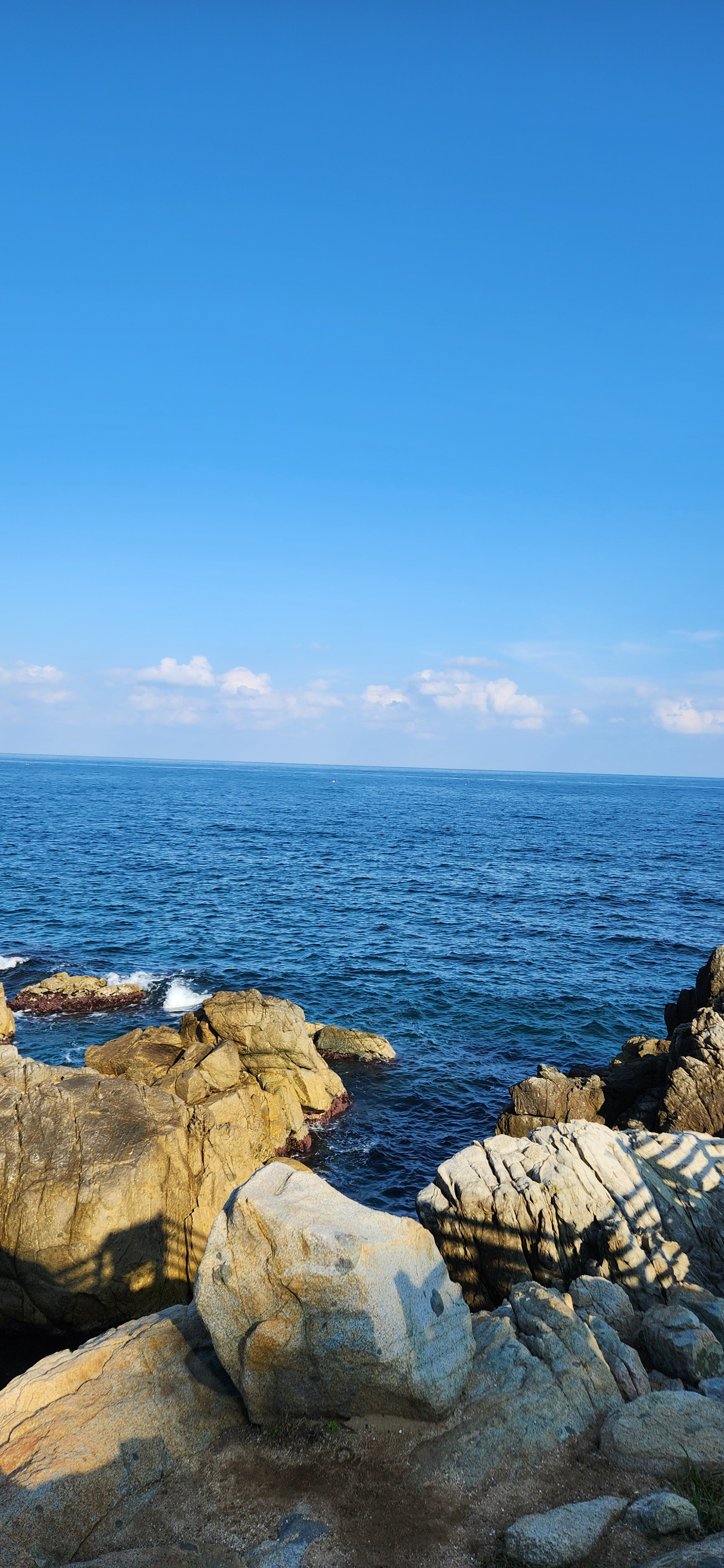 작성자 프로필 이미지