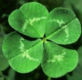 작성자 프로필 이미지