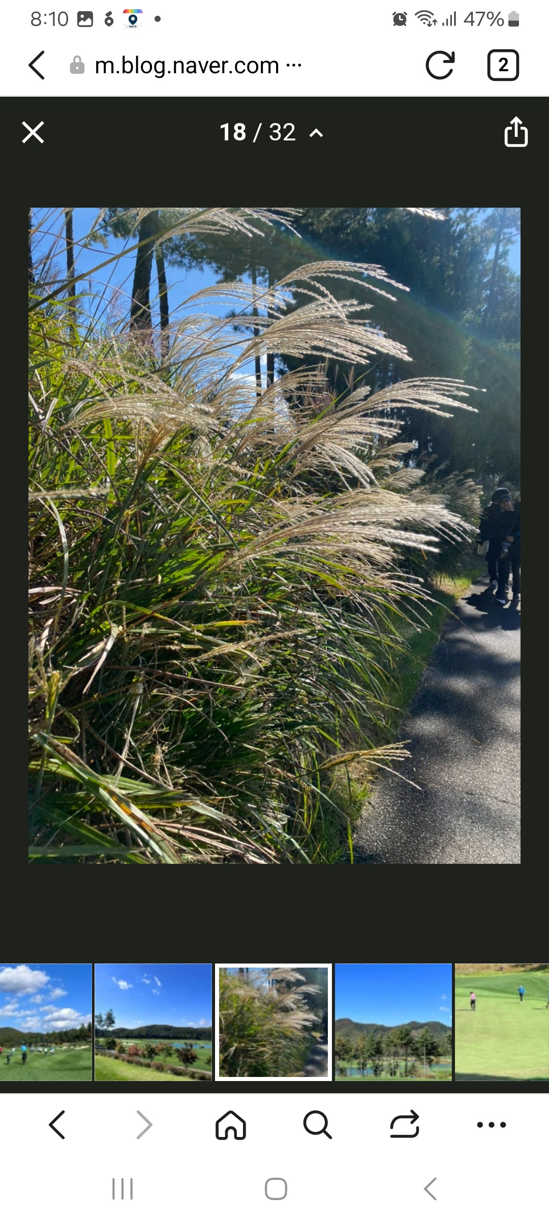 작성자 프로필 이미지