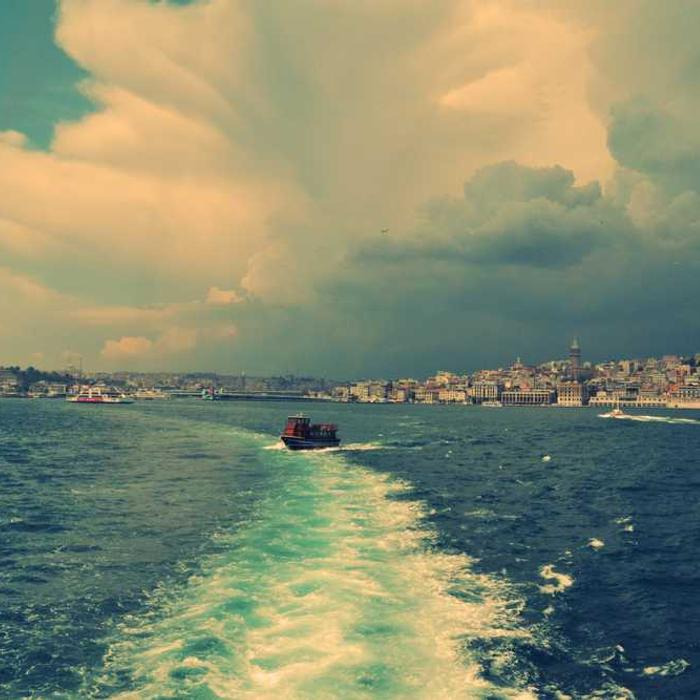 작성자 프로필 이미지