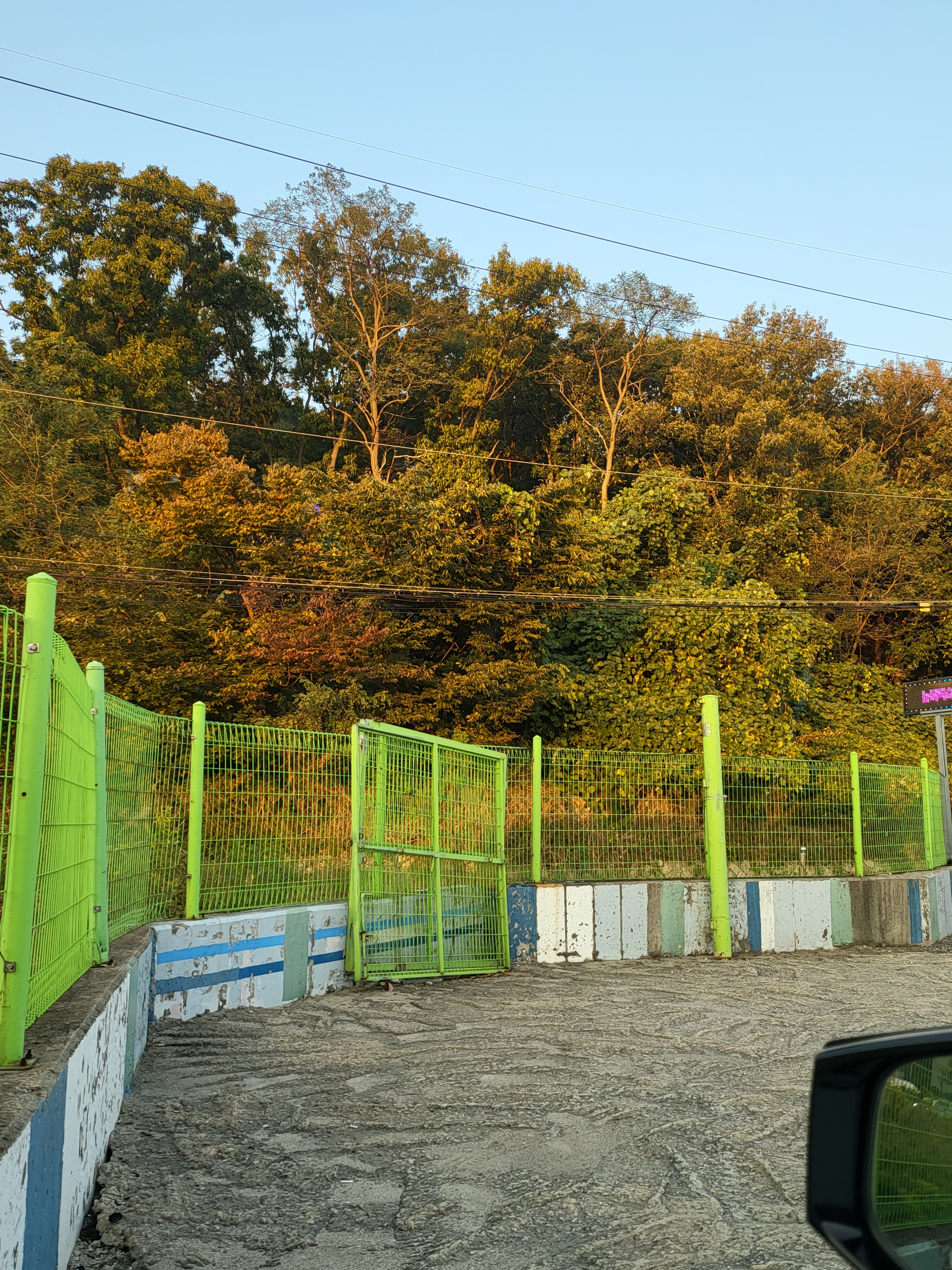 작성자 프로필 이미지