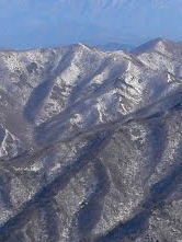 작성자 프로필 이미지