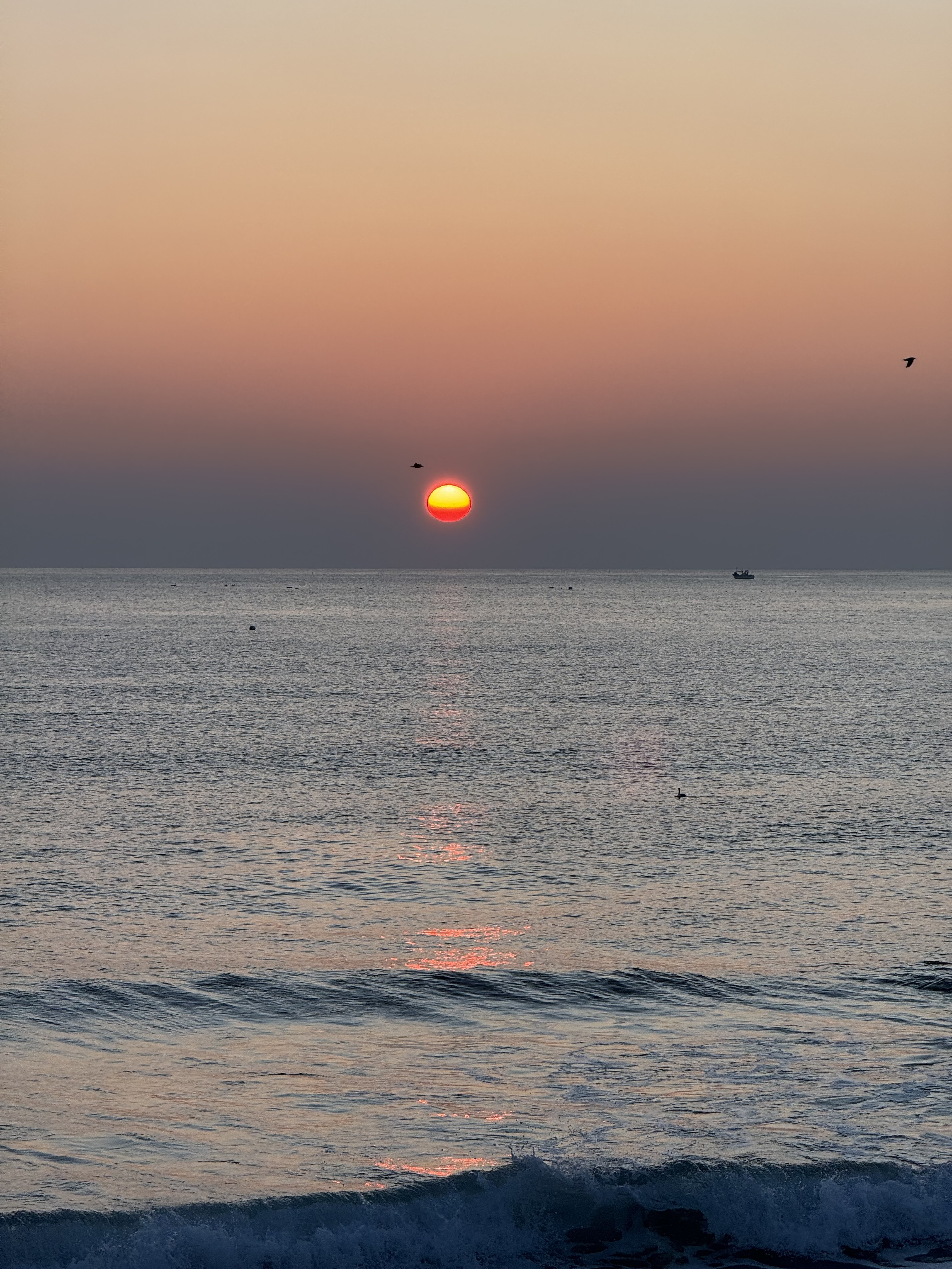 작성자 프로필 이미지