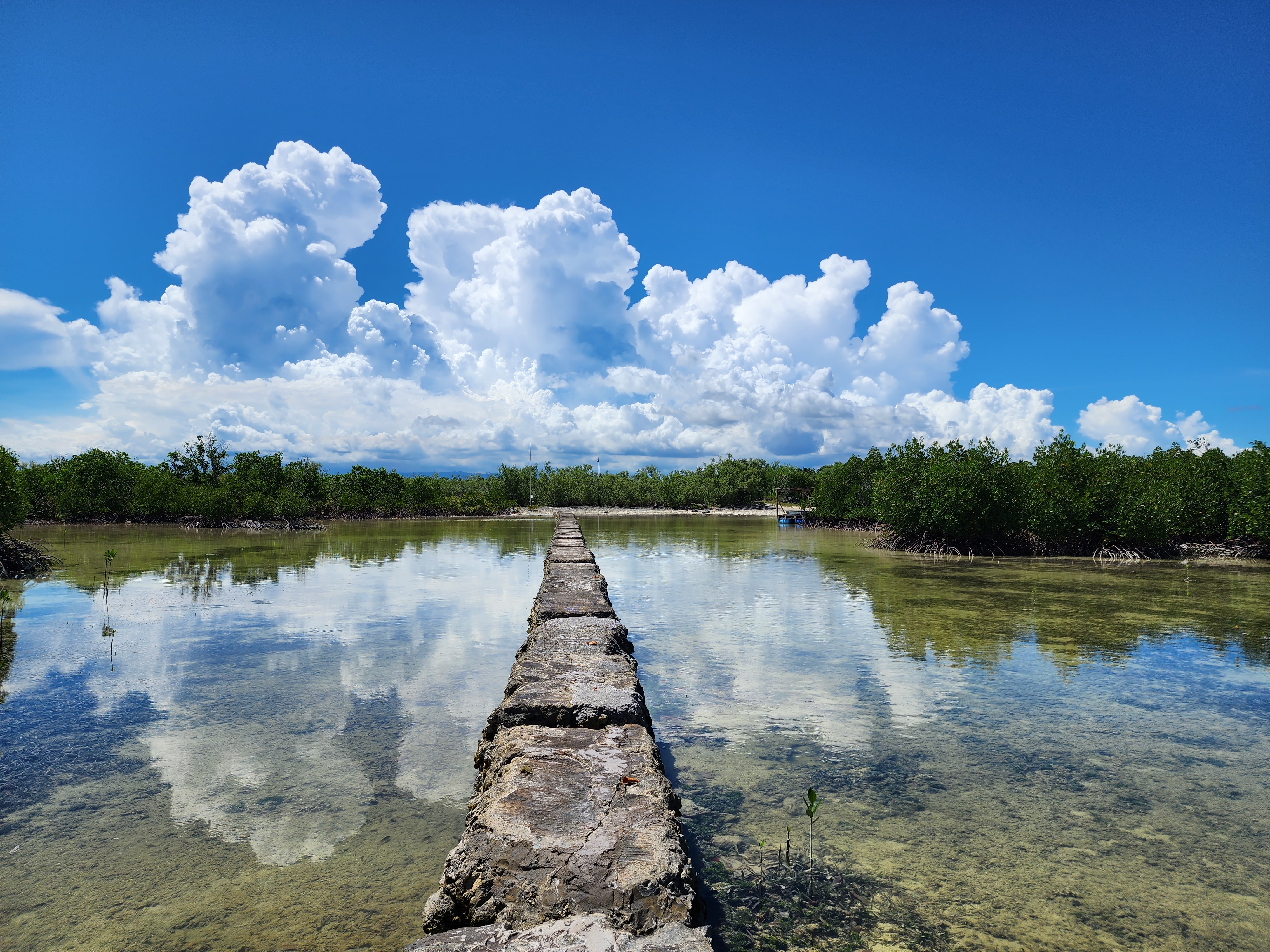 언덕위포도밭 프로필 이미지