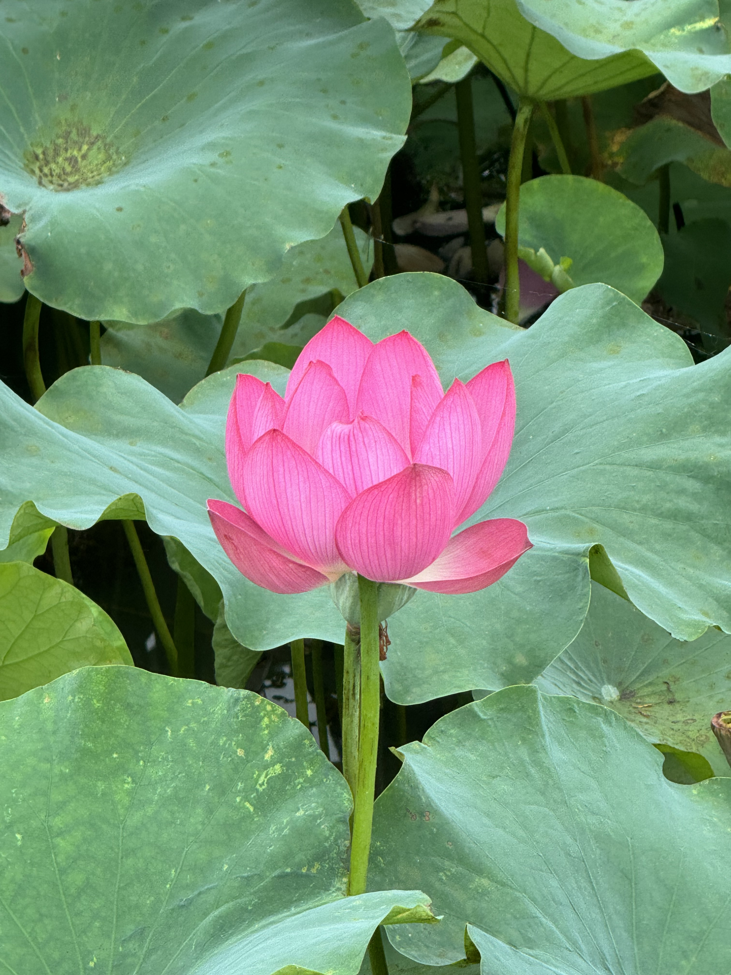 작성자 프로필 이미지