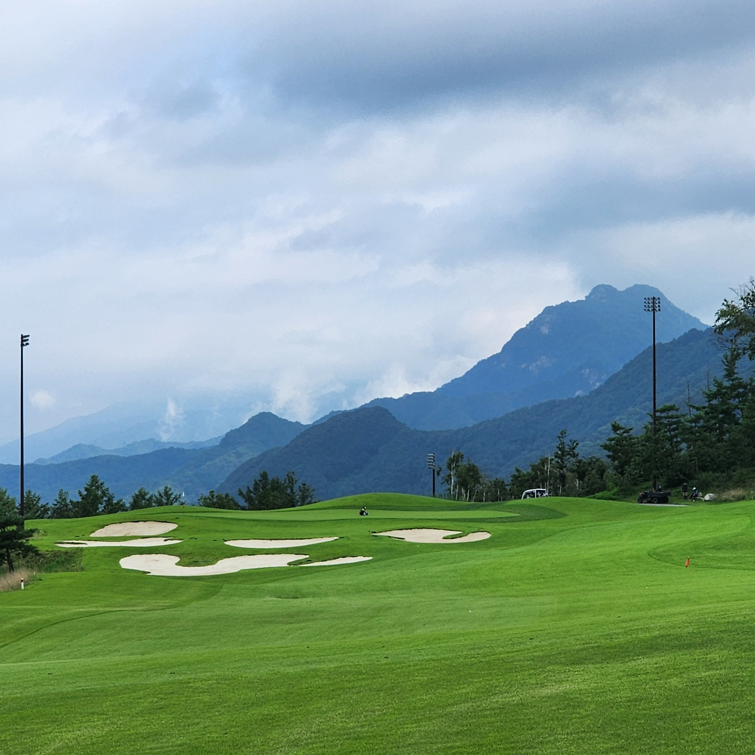 작성자 프로필 이미지