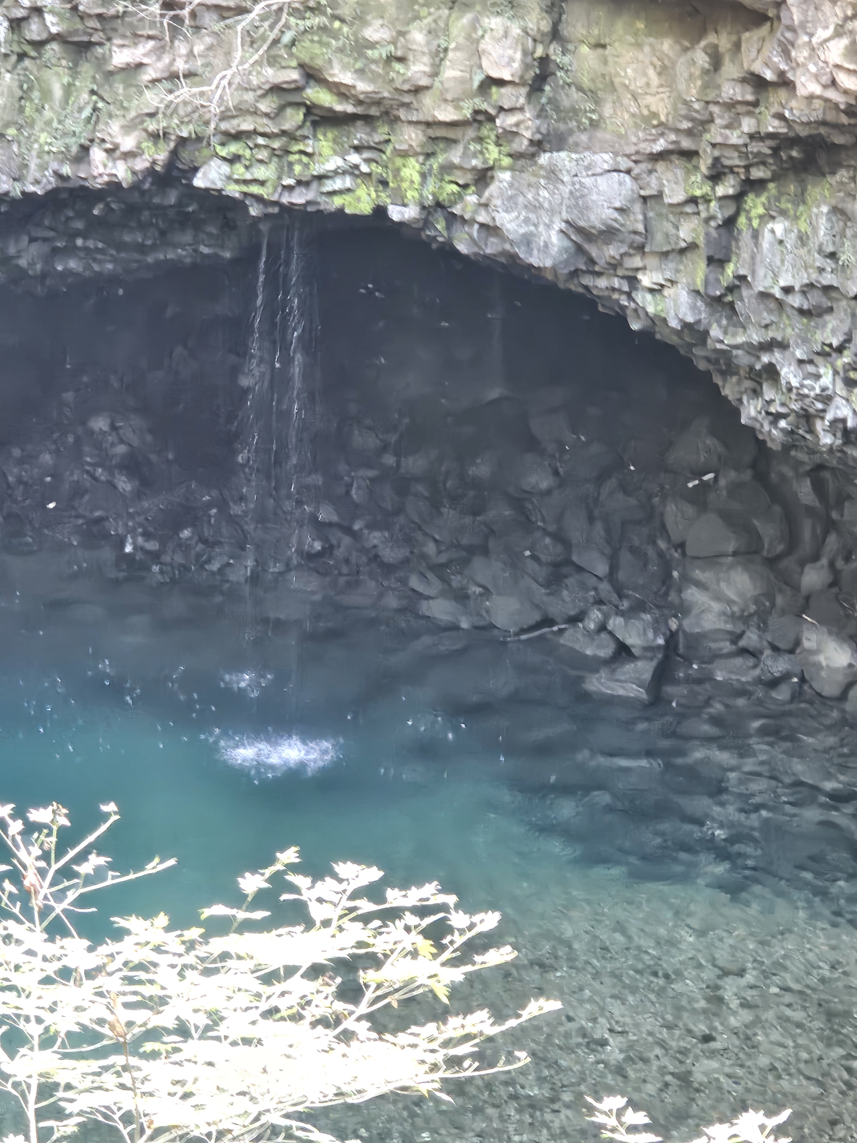 작성자 프로필 이미지