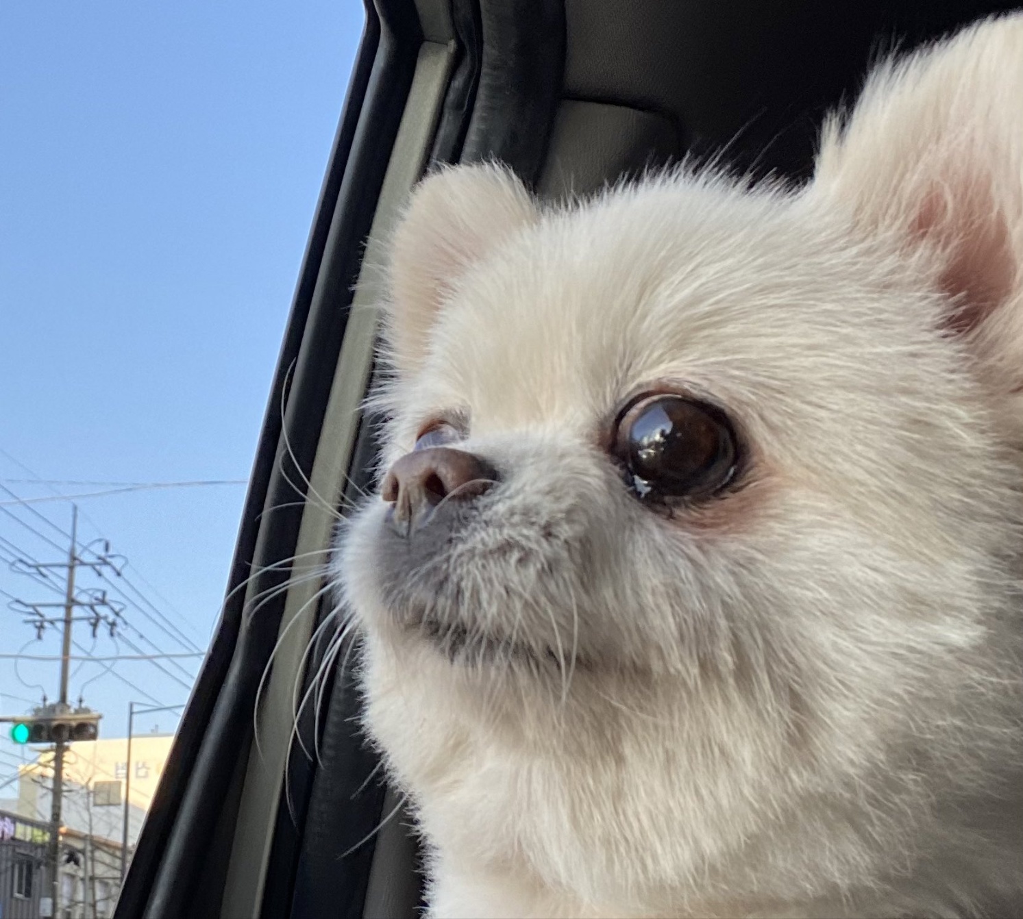 작성자 프로필 이미지