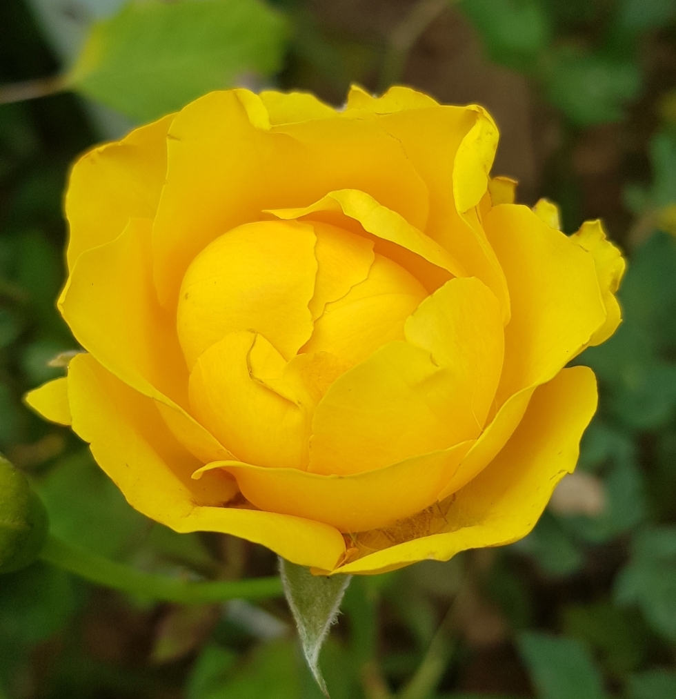 작성자 프로필 이미지