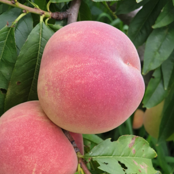 작성자 프로필 이미지