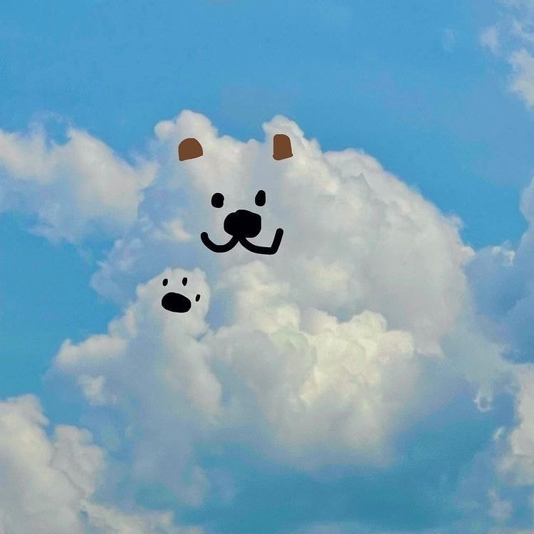 작성자 프로필 이미지