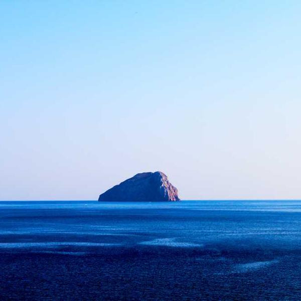 작성자 프로필 이미지