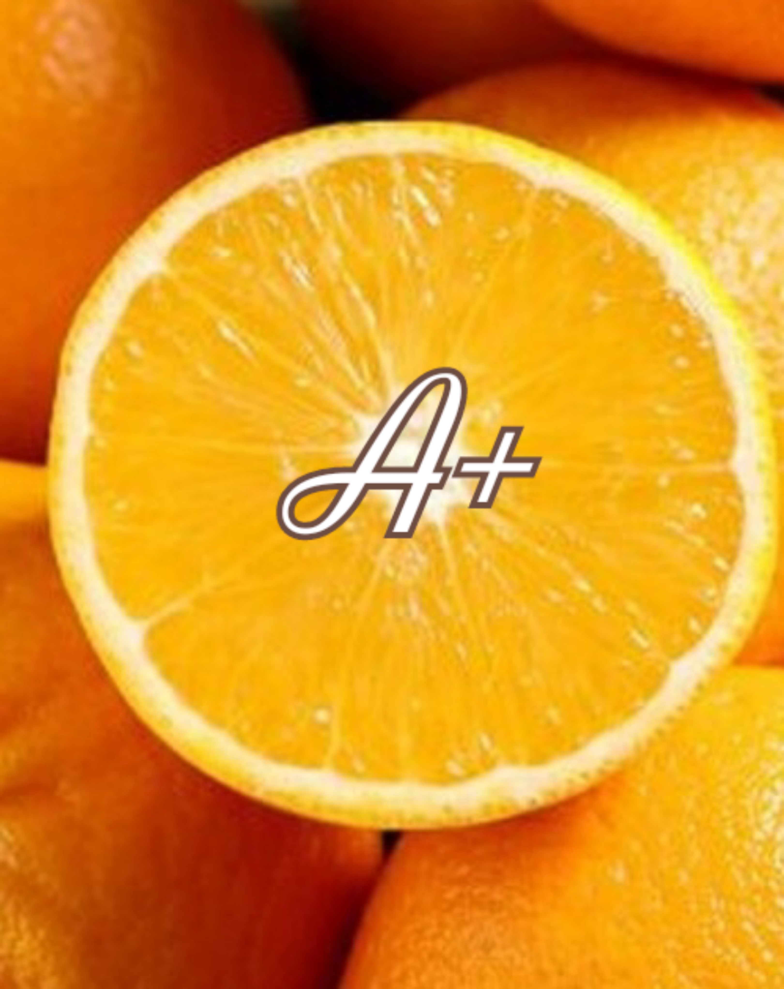 작성자 프로필 이미지