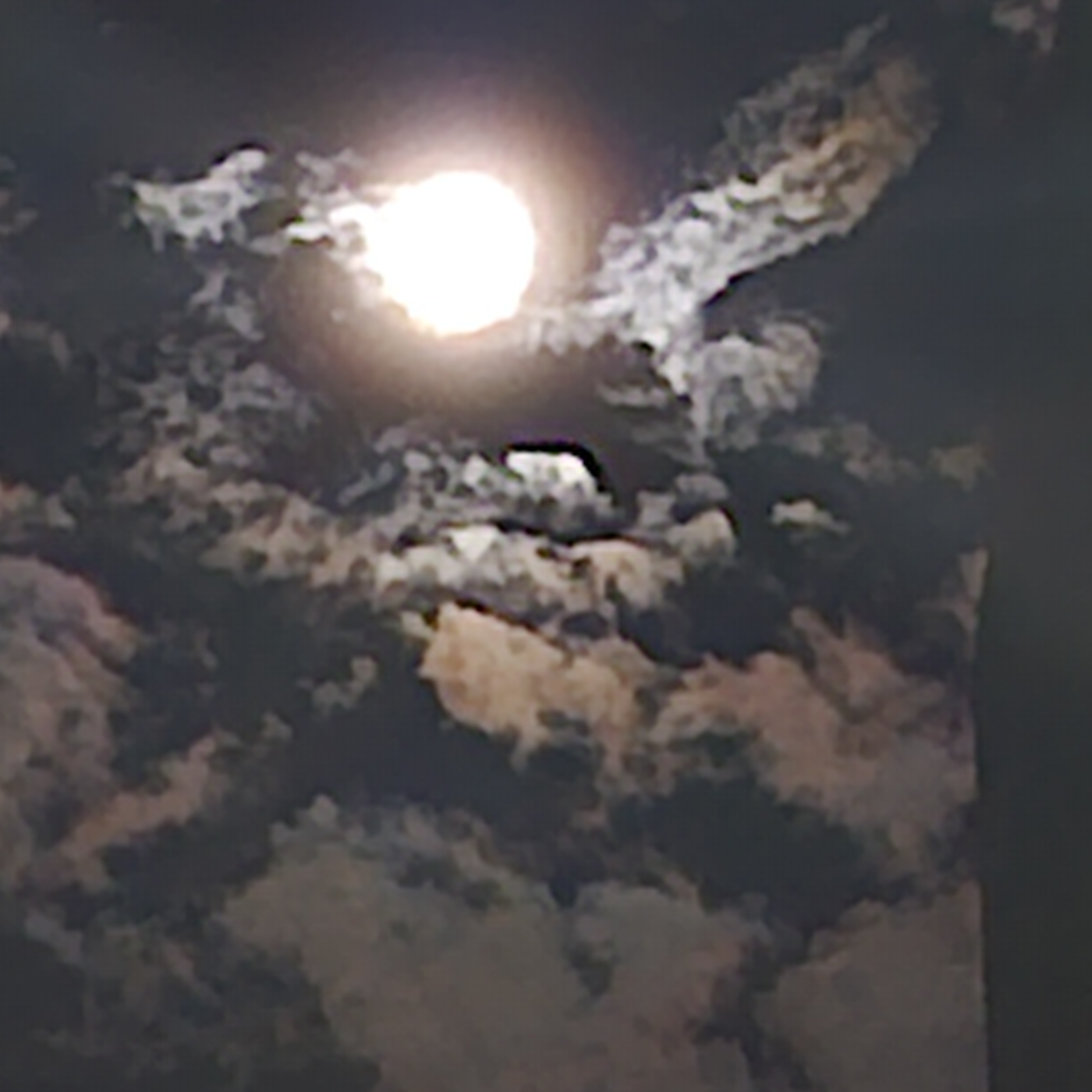 작성자 프로필 이미지