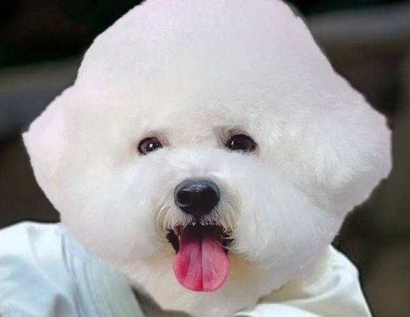 작성자 프로필 이미지