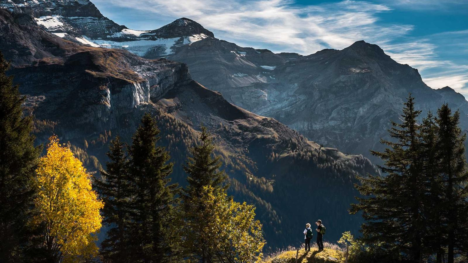 작성자 프로필 이미지