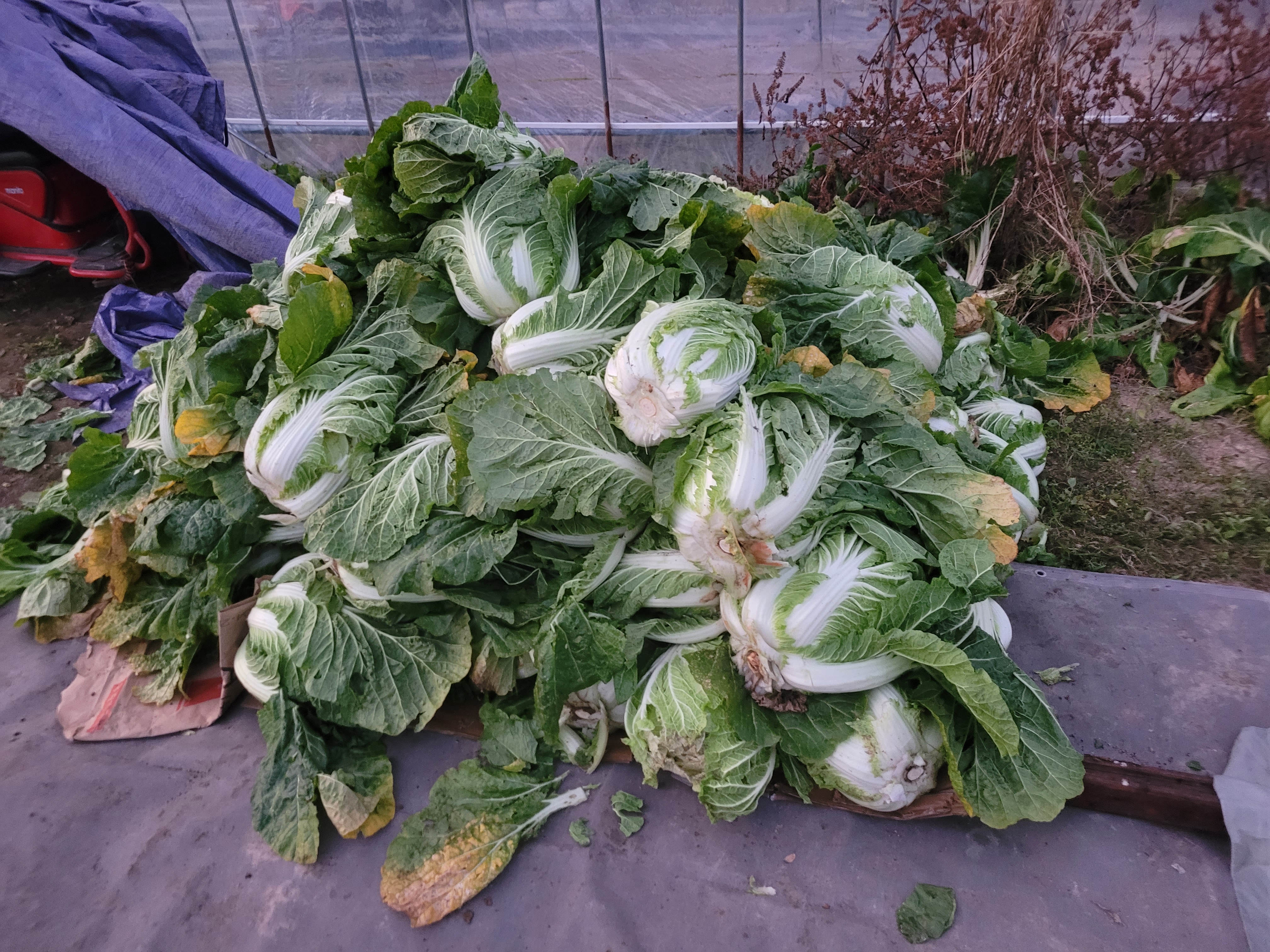 공적피해 프로필 이미지