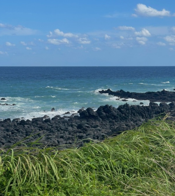 작성자 프로필 이미지