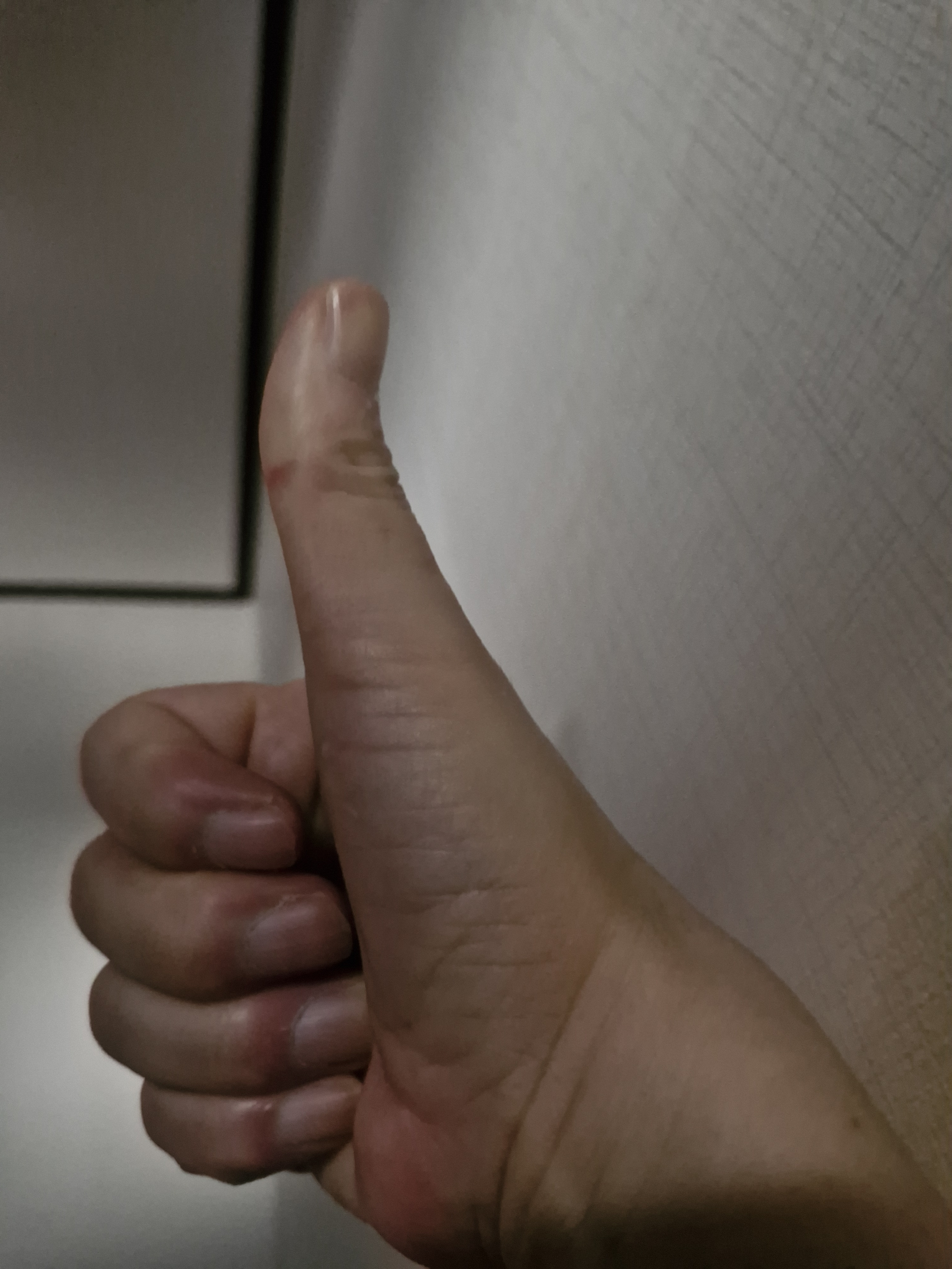 작성자 프로필 이미지