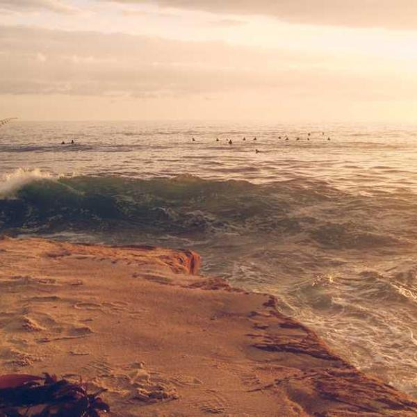 작성자 프로필 이미지