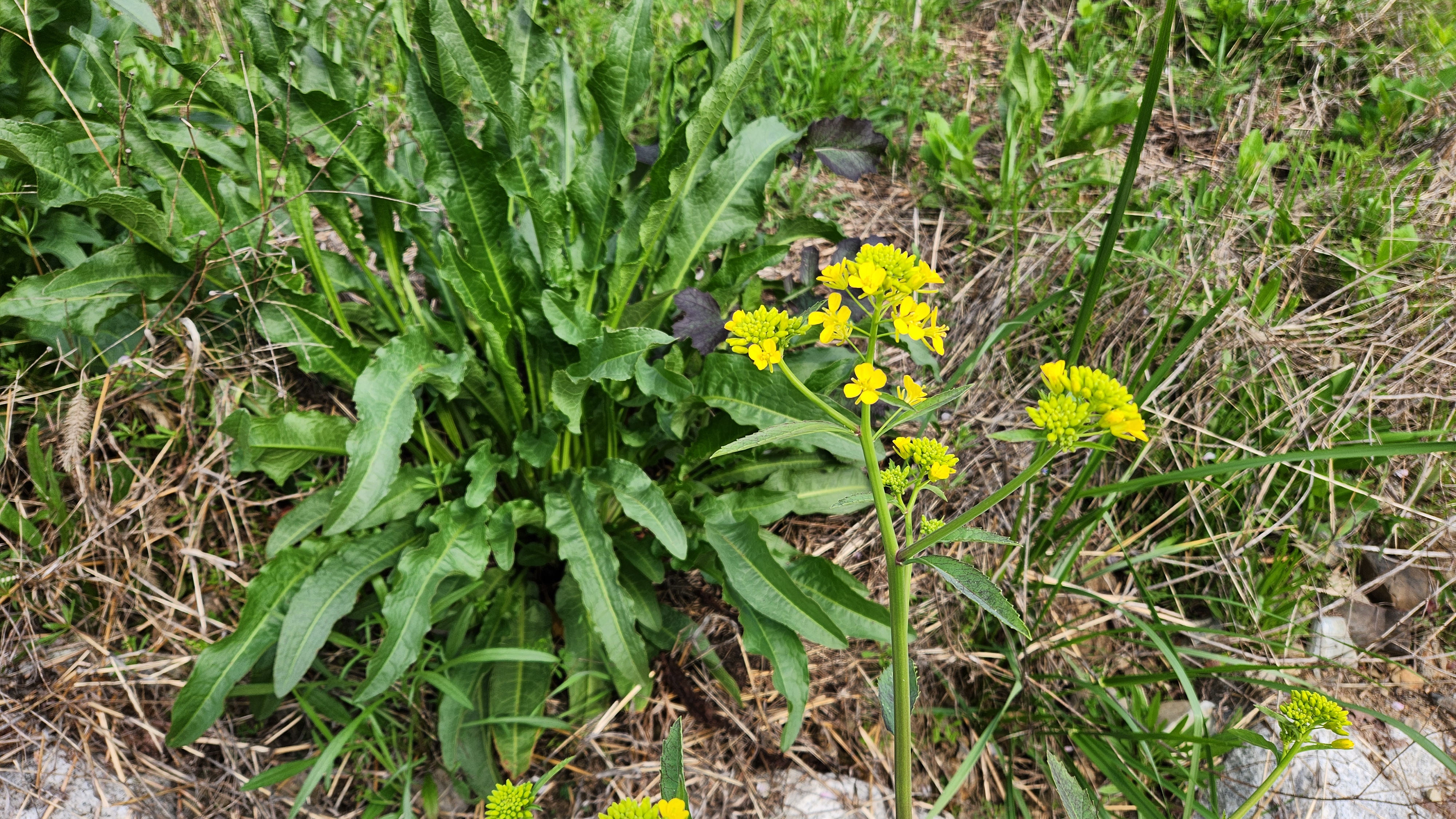 작성자 프로필 이미지